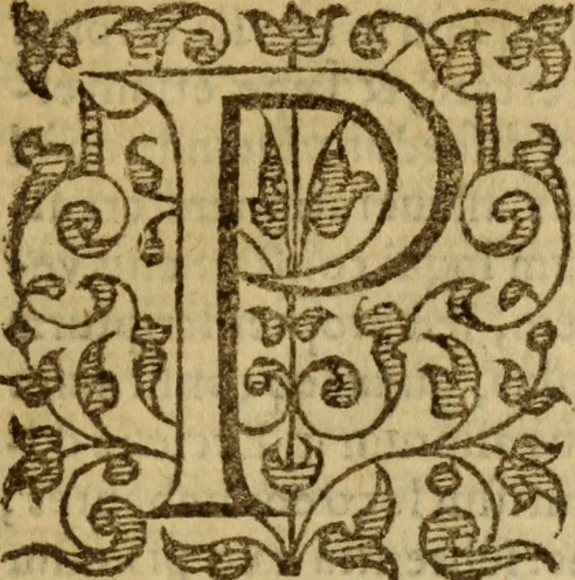 An illustration from Doctrinae Christianae compendium : seu, Commentarii catechetici, 1585, leaf 46