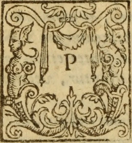 An illustration from Doctrinae Christianae compendium : seu, Commentarii catechetici, 1585, leaf 593