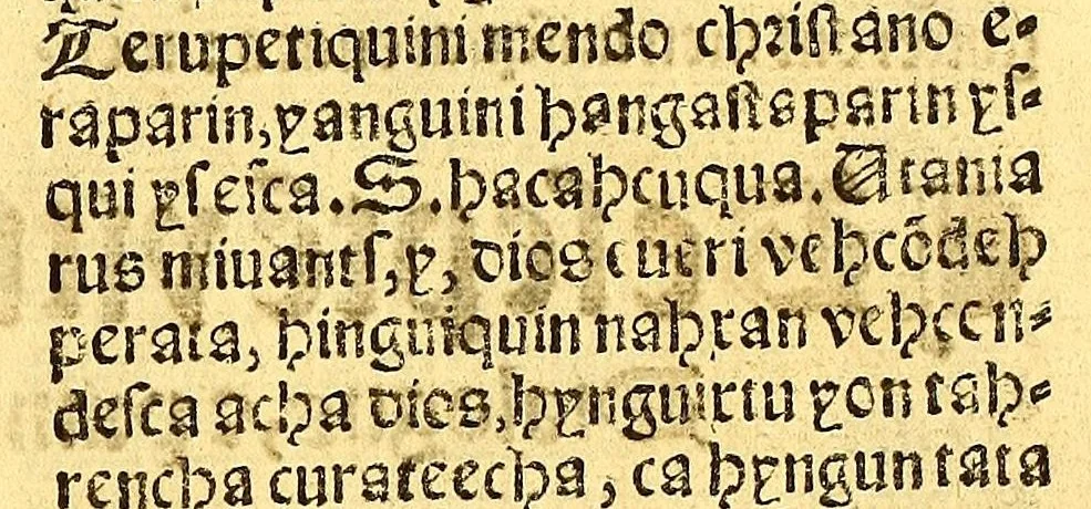 An illustration from Doctrinalis fidei in Michuacane[n]sium Indorum linguam : [a]editus ab admodum Reuerendo Patre Fratre Joanne Metinensi, Bethico, Augustiniani ordinis, [et] Priore conuentus Taca[m]barensis. Tomus secundus. ... Accessit & compendium metheorologicarum impraessionum ab ipso auctore recognitum, 1575, leaf 163