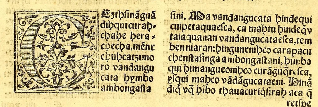 An illustration from Doctrinalis fidei in Michuacane[n]sium Indorum linguam : [a]editus ab admodum Reuerendo Patre Fratre Joanne Metinensi, Bethico, Augustiniani ordinis, [et] Priore conuentus Taca[m]barensis. Tomus secundus. ... Accessit & compendium metheorologicarum impraessionum ab ipso auctore recognitum, 1575, leaf 96