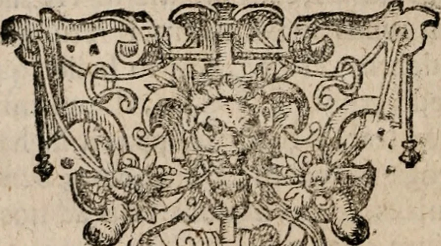 An illustration from Doctrina politica in genuinam methodum, qvae est Aristotelis, redvcta, et ex probatissimis qvibusque philosophis, oratoribus, iurisconsultis historicis &c. breviter comportata, & explicata ab Henningo Arnisaeo, 1606, leaf 19