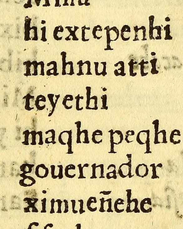 An illustration from Doctrina y enseñança en la lengua maçahua de cosas muy vtiles, y prouechosas para los ministros de doctrina, y para los naturales que hablan la lengua maçahua ..., 1637, leaf 143