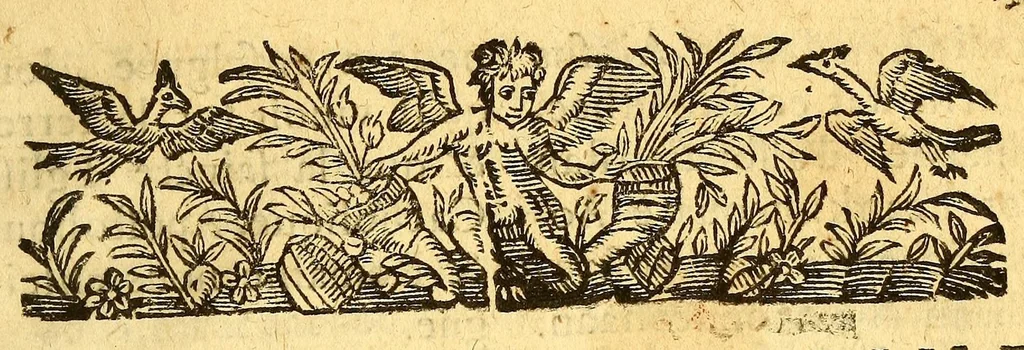 An illustration from Doctrine chrestienne,, 1630, leaf 9