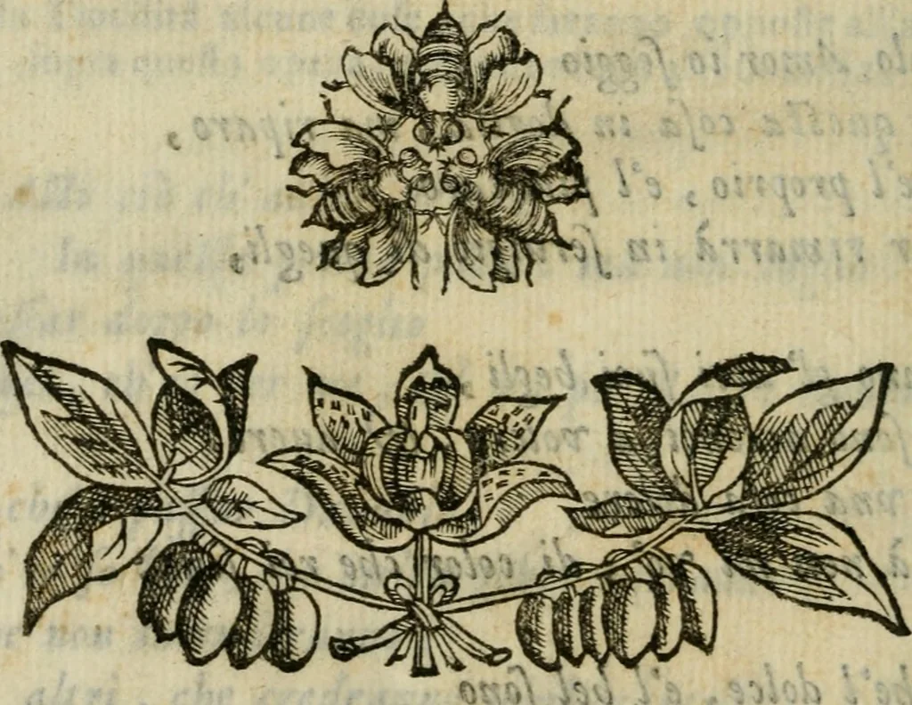 An illustration from Documenti d'amore, 1640, leaf 139
