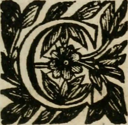 An illustration from Documenti d'amore, 1640, leaf 18