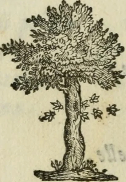 An illustration from Documenti d'amore, 1640, leaf 259
