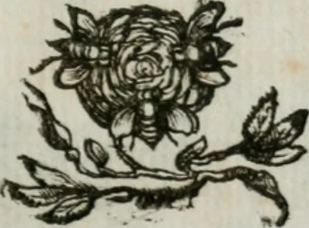 An illustration from Documenti d'amore, 1640, leaf 272