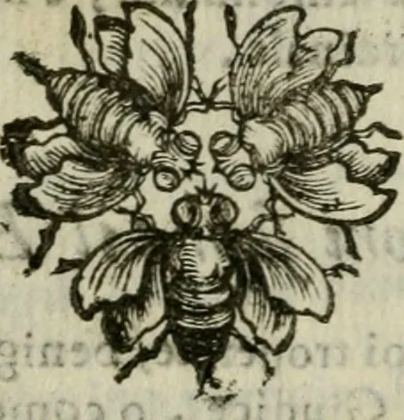 An illustration from Documenti d'amore, 1640, leaf 29