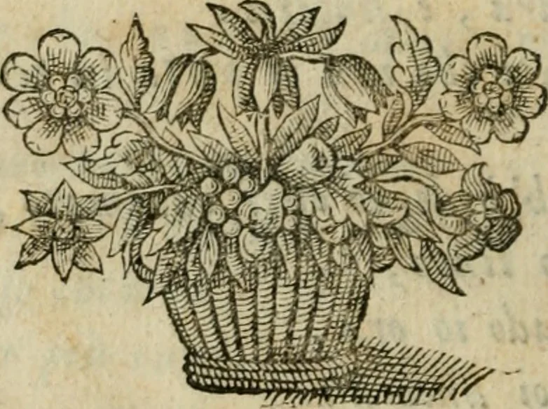 An illustration from Documenti d'amore, 1640, leaf 385