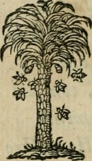 An illustration from Documenti d'amore, 1640, leaf 397