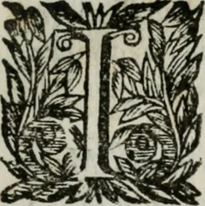 An illustration from Documenti d'amore, 1640, leaf 426