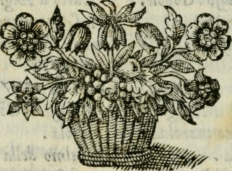 An illustration from Documenti d'amore, 1640, leaf 433