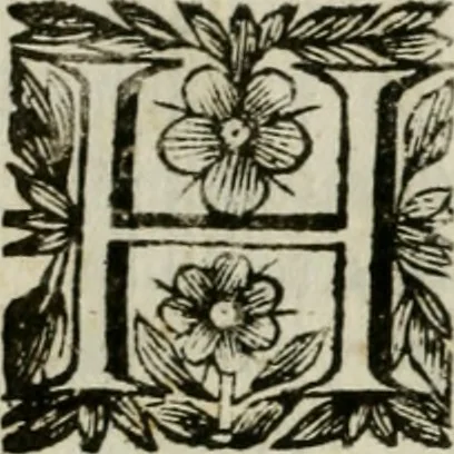 An illustration from Documenti d'amore, 1640, leaf 561