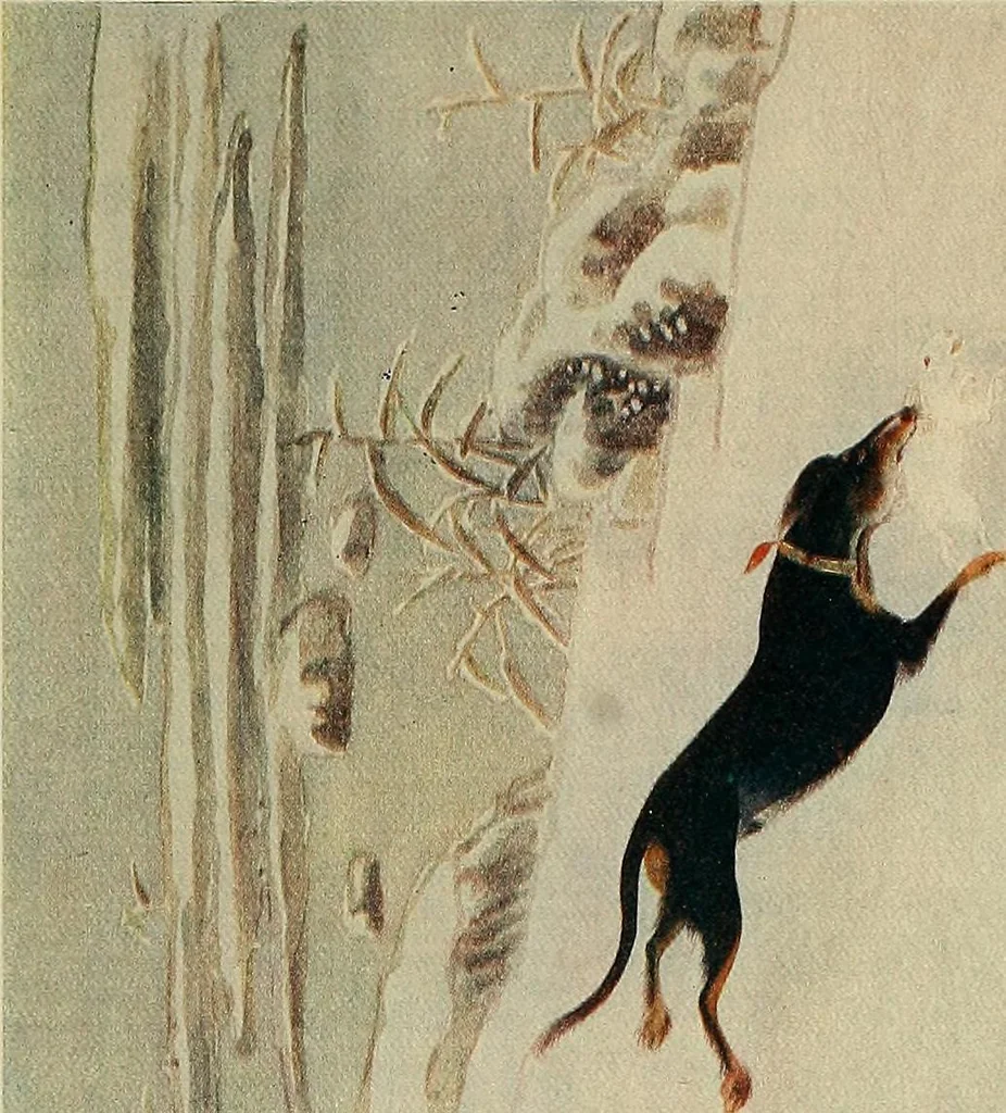 An illustration from Dogs of China & Japan in nature and art, 1921, leaf 102