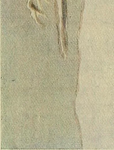 An illustration from Dogs of China & Japan in nature and art, 1921, leaf 102