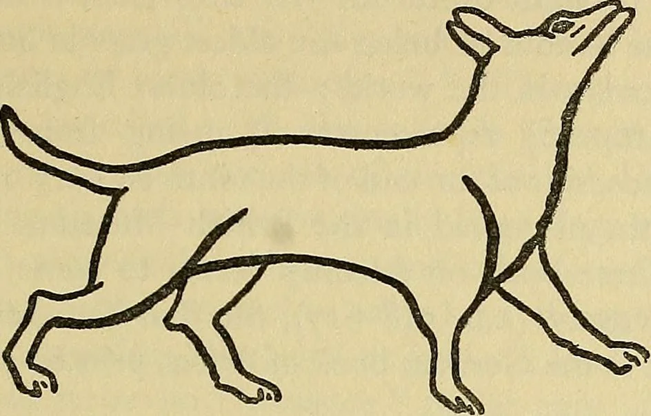 An illustration from Dogs of China & Japan in nature and art, 1921, leaf 106
