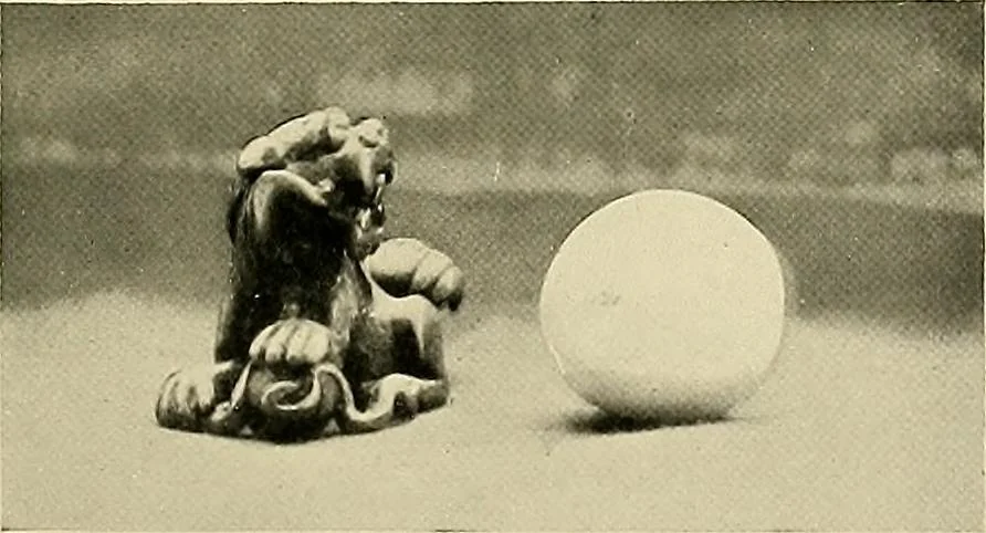 An illustration from Dogs of China & Japan in nature and art, 1921, leaf 198
