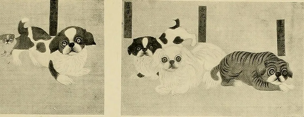 An illustration from Dogs of China & Japan in nature and art, 1921, leaf 208