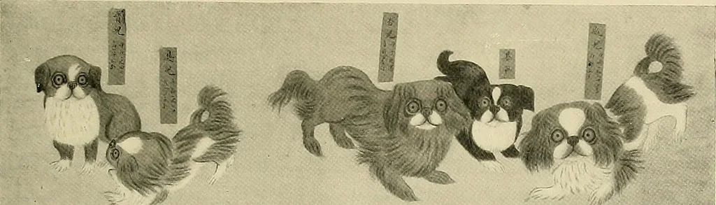 An illustration from Dogs of China & Japan in nature and art, 1921, leaf 208