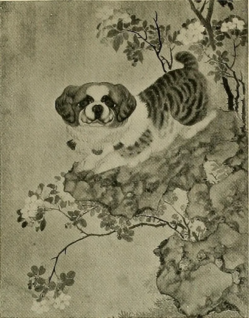 An illustration from Dogs of China & Japan in nature and art, 1921, leaf 218