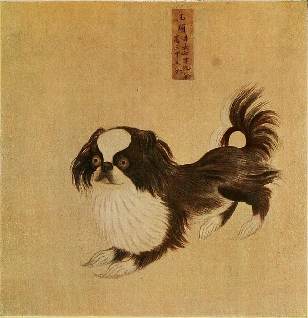An illustration from Dogs of China & Japan in nature and art, 1921, leaf 240