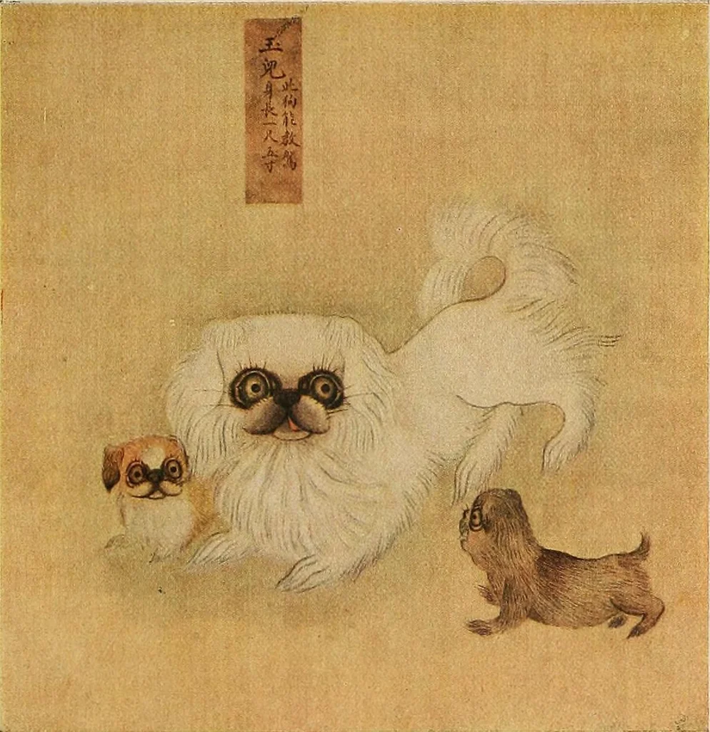 An illustration from Dogs of China & Japan in nature and art, 1921, leaf 240