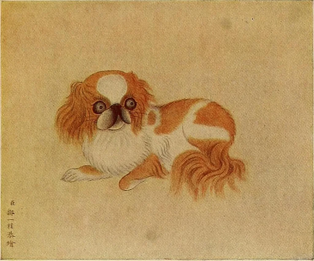 An illustration from Dogs of China & Japan in nature and art, 1921, leaf 256