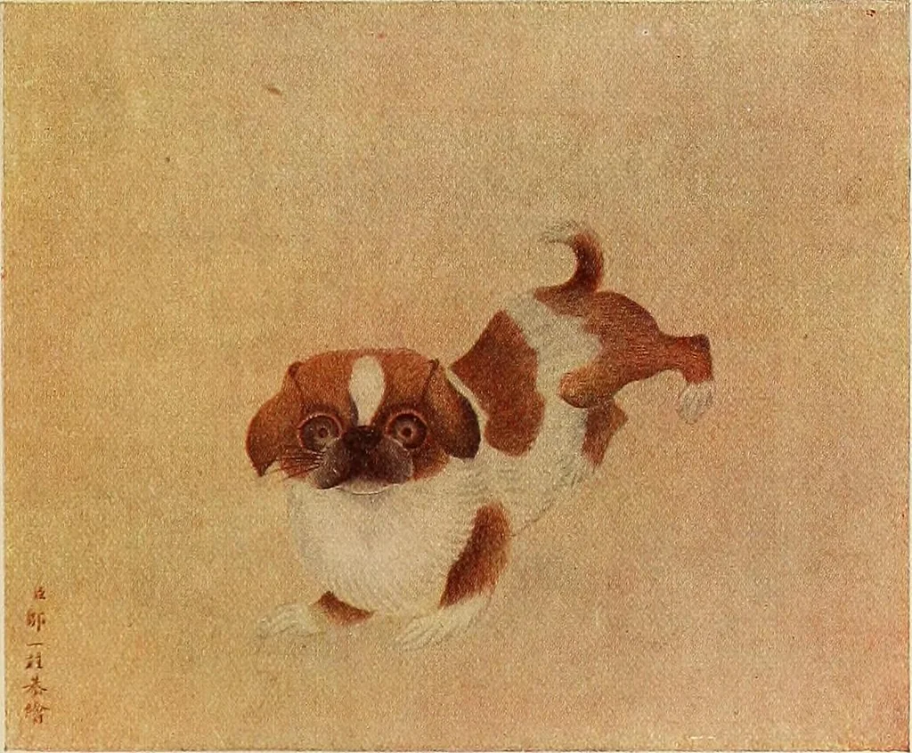 An illustration from Dogs of China & Japan in nature and art, 1921, leaf 256