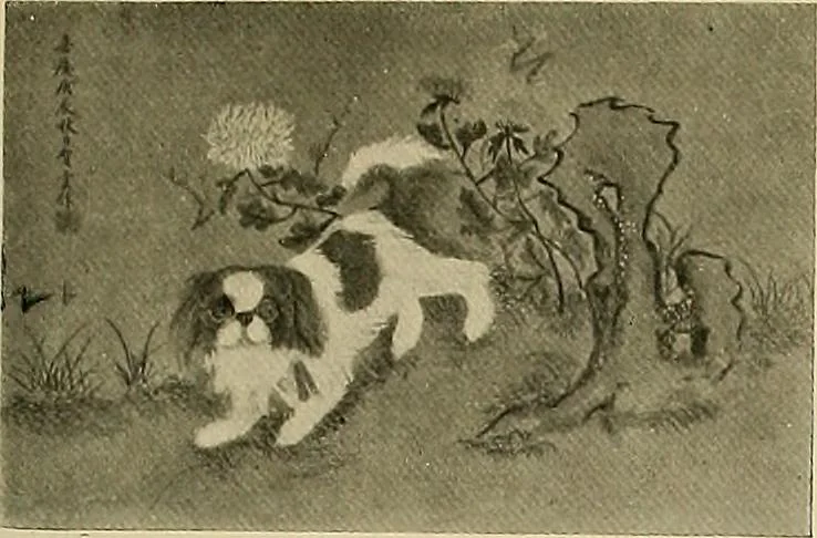 An illustration from Dogs of China & Japan in nature and art, 1921, leaf 260
