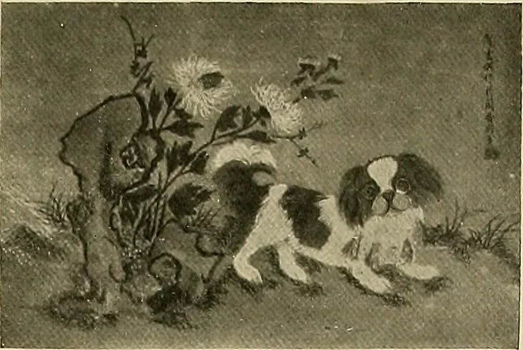 An illustration from Dogs of China & Japan in nature and art, 1921, leaf 260