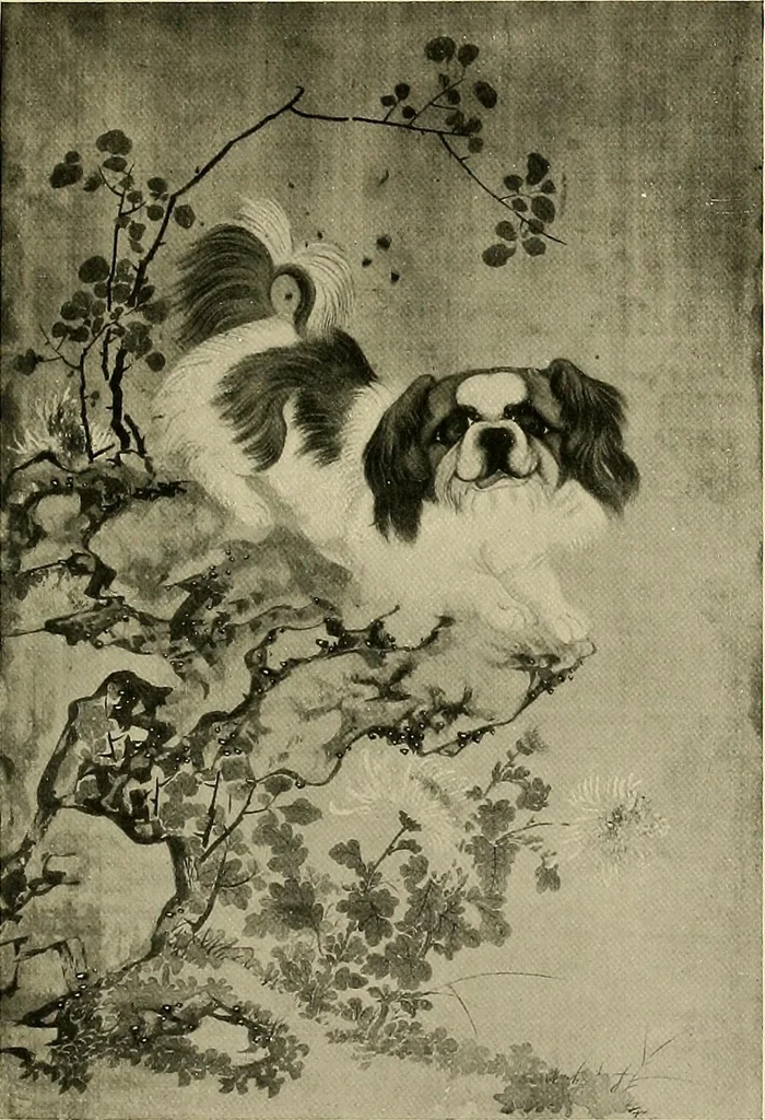 An illustration from Dogs of China & Japan in nature and art, 1921, leaf 260