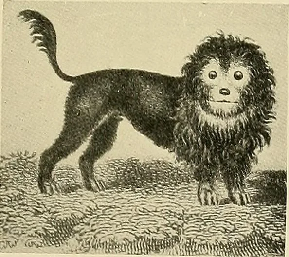 An illustration from Dogs of China & Japan in nature and art, 1921, leaf 292