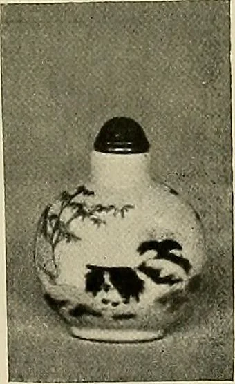An illustration from Dogs of China & Japan in nature and art, 1921, leaf 300