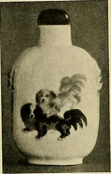 An illustration from Dogs of China & Japan in nature and art, 1921, leaf 310