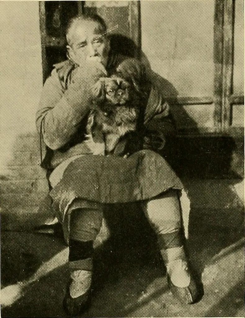 An illustration from Dogs of China & Japan in nature and art, 1921, leaf 82