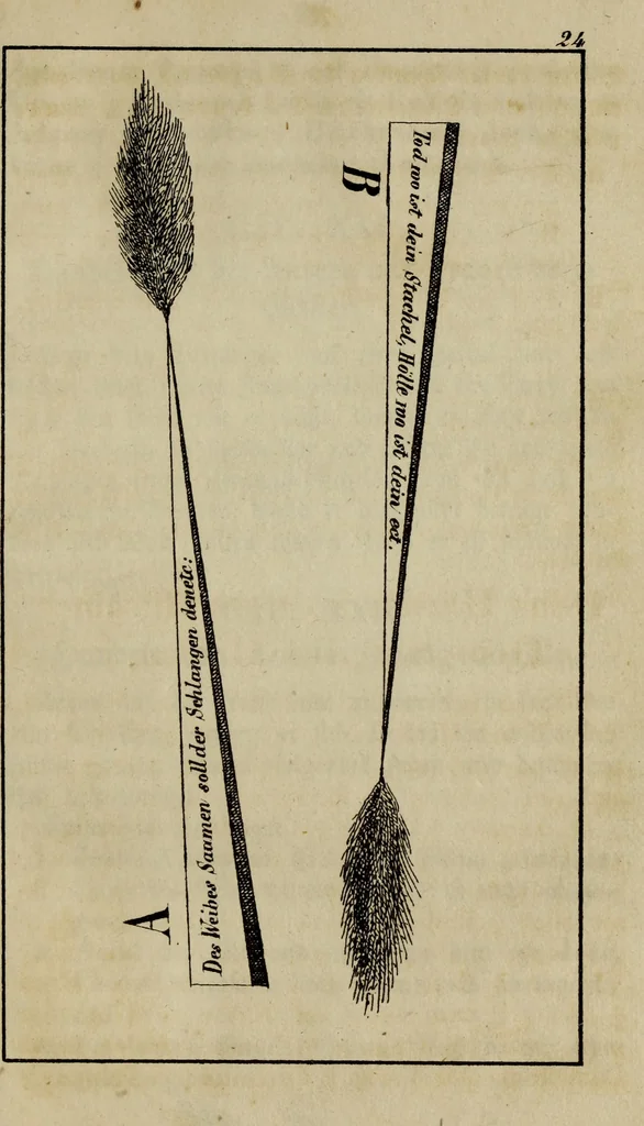 An illustration from Doktor Johannes Faust's Magia naturalis et innaturalis : oder, Dreifacher Höllenzwang, letztes Testament and Siegelkunst, nach einer kostbar ausgestattenten Handschrift in der Herzogl. Bibliothek zu Koburg vollständig und wortgetreu hrsg. in fünf Abtheilungen .., 1849, leaf 121