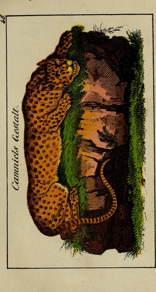 An illustration from Doktor Johannes Faust's Magia naturalis et innaturalis : oder, Dreifacher Höllenzwang, letztes Testament and Siegelkunst, nach einer kostbar ausgestattenten Handschrift in der Herzogl. Bibliothek zu Koburg vollständig und wortgetreu hrsg. in fünf Abtheilungen .., 1849, leaf 193