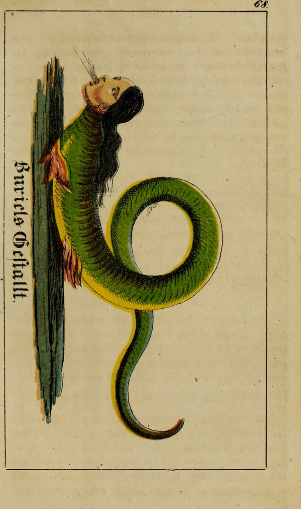 An illustration from Doktor Johannes Faust's Magia naturalis et innaturalis : oder, Dreifacher Höllenzwang, letztes Testament and Siegelkunst, nach einer kostbar ausgestattenten Handschrift in der Herzogl. Bibliothek zu Koburg vollständig und wortgetreu hrsg. in fünf Abtheilungen .., 1849, leaf 269