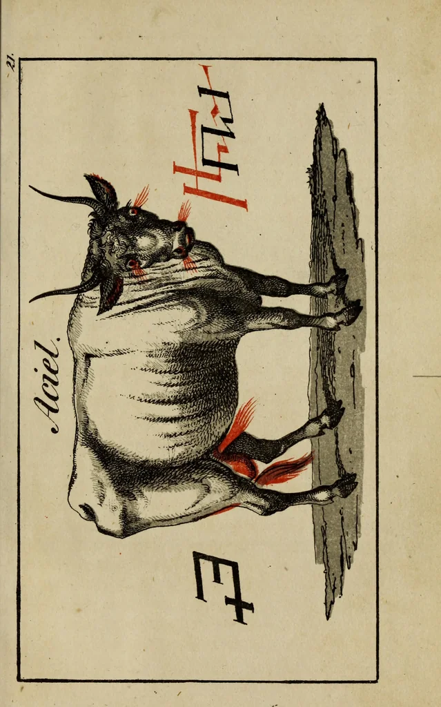 An illustration from Doktor Johannes Faust's Magia naturalis et innaturalis : oder, Dreifacher Höllenzwang, letztes Testament and Siegelkunst, nach einer kostbar ausgestattenten Handschrift in der Herzogl. Bibliothek zu Koburg vollständig und wortgetreu hrsg. in fünf Abtheilungen .., 1849, leaf 93