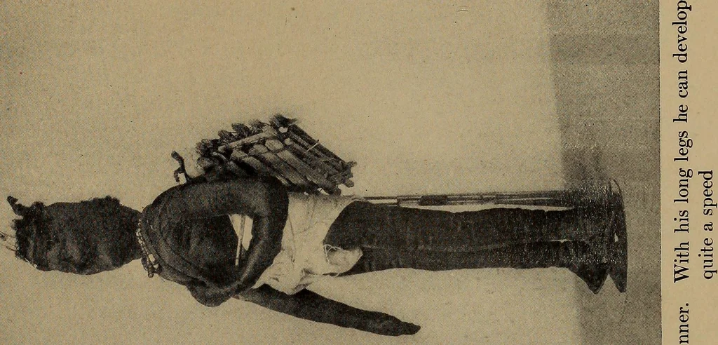 An illustration from The doll book, 1908, leaf 225