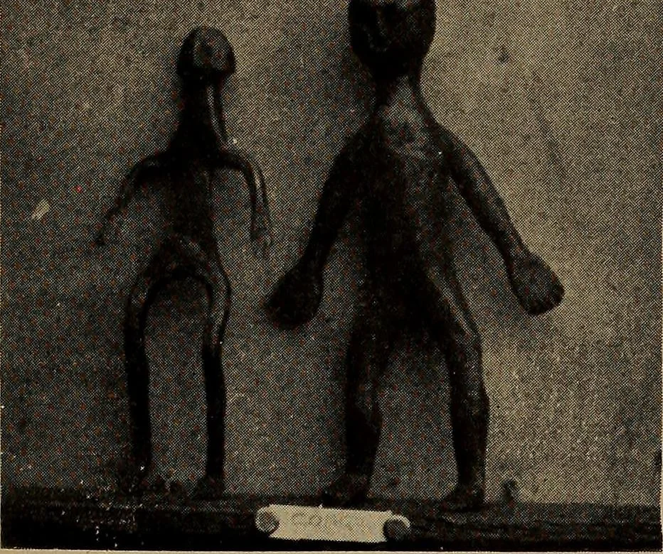 An illustration from The doll book, 1908, leaf 29
