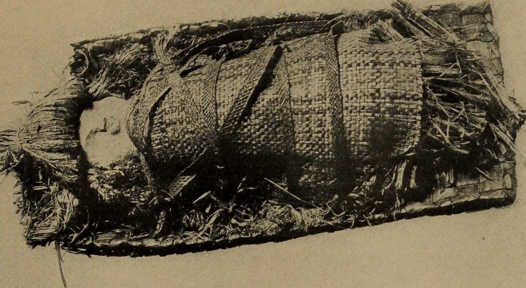An illustration from The doll book, 1908, leaf 61