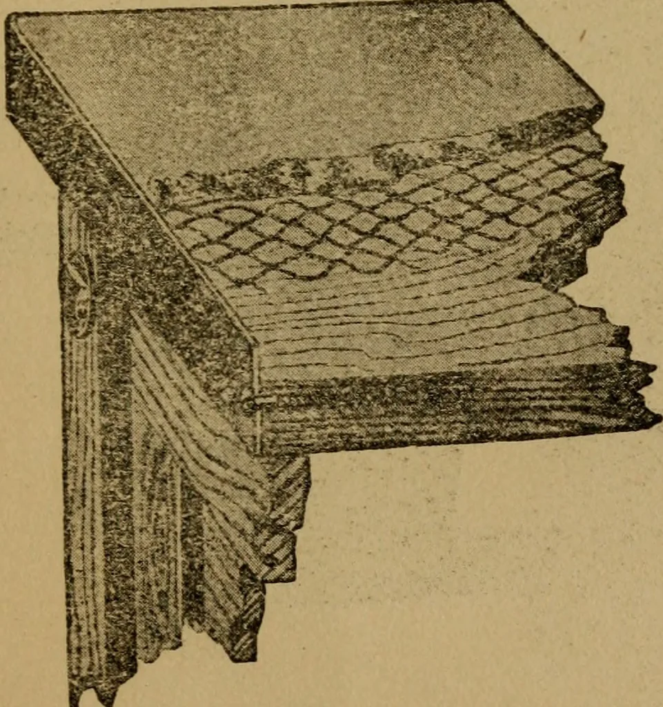 An illustration from Domestic science, a text in cooking and syllabus in sewing, prepared for use in the Kansas City elementary schools, yet eminently fitted for home work, 1911, leaf 164