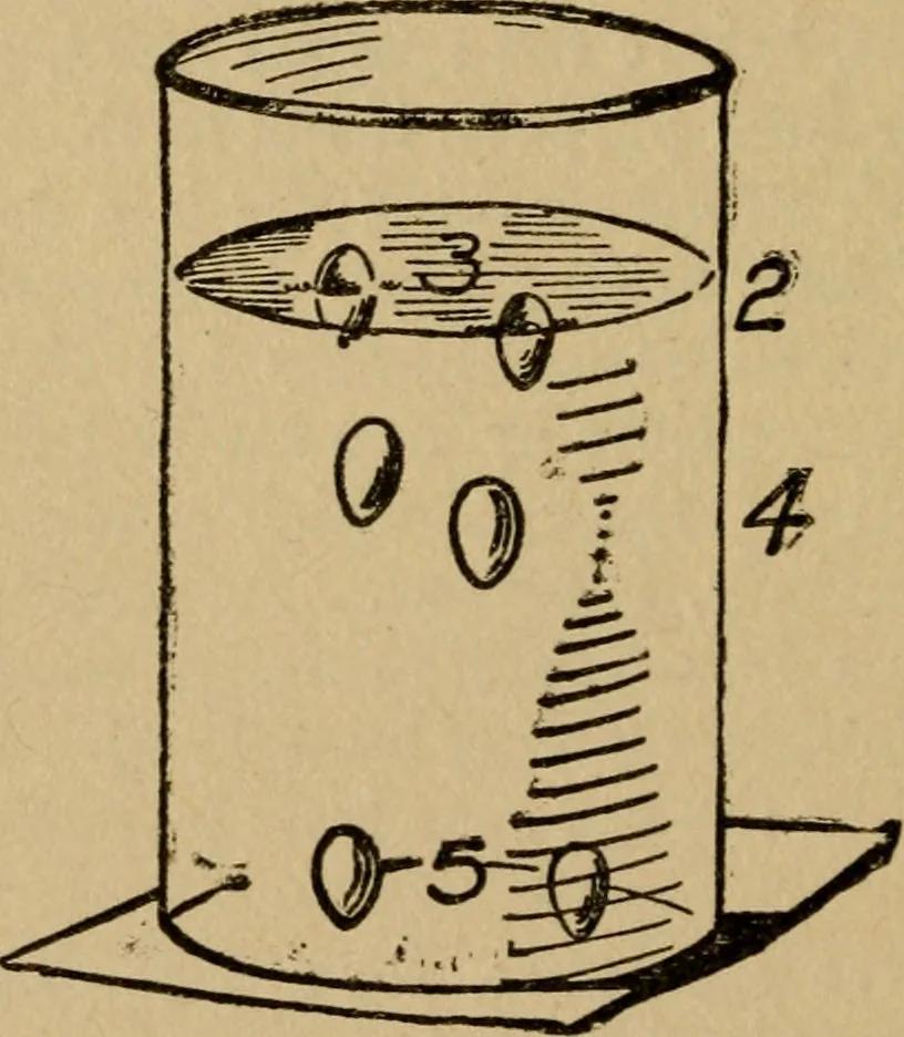 An illustration from Domestic science, a text in cooking and syllabus in sewing, prepared for use in the Kansas City elementary schools, yet eminently fitted for home work, 1911, leaf 35