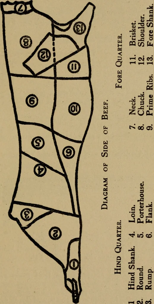 An illustration from Domestic science, a text in cooking and syllabus in sewing, prepared for use in the Kansas City elementary schools, yet eminently fitted for home work, 1911, leaf 72