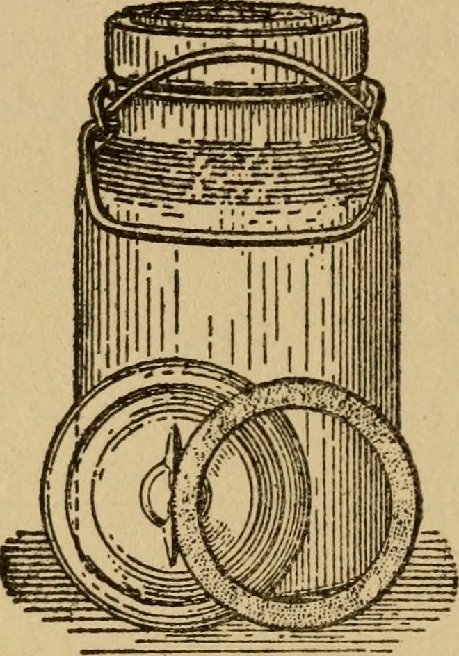 An illustration from Domestic science, a text in cooking and syllabus in sewing, prepared for use in the Kansas City elementary schools, yet eminently fitted for home work, 1911, leaf 91