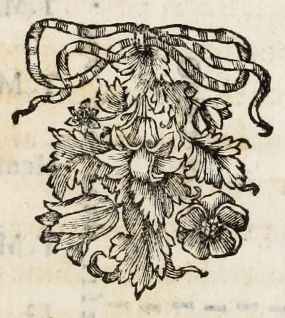 An illustration from Dominici Aulisi Opuscula : De gymnasii constructione, Mausolei architectura, Harmonia Timaica, & Numeris medicis : his accessit Epistola de colo Mayerano, 1694, leaf 109