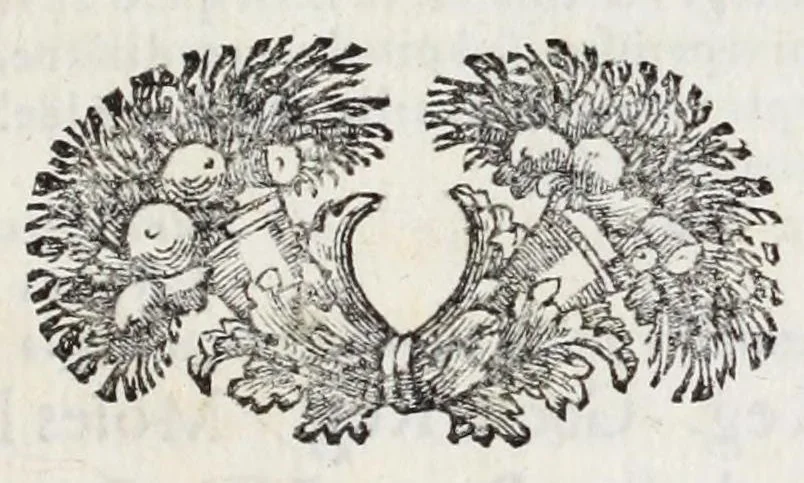 An illustration from Dominici Aulisi Opuscula : De gymnasii constructione, Mausolei architectura, Harmonia Timaica, & Numeris medicis : his accessit Epistola de colo Mayerano, 1694, leaf 23