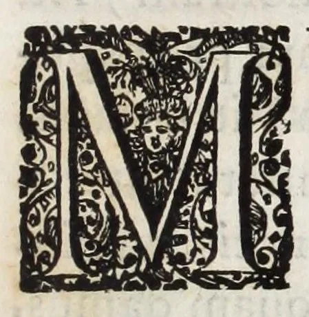 An illustration from Dominici Aulisi Opuscula : De gymnasii constructione, Mausolei architectura, Harmonia Timaica, & Numeris medicis : his accessit Epistola de colo Mayerano, 1694, leaf 27