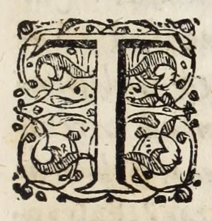 An illustration from Dominici Aulisi Opuscula : De gymnasii constructione, Mausolei architectura, Harmonia Timaica, & Numeris medicis : his accessit Epistola de colo Mayerano, 1694, leaf 85